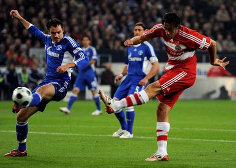 杯的赛场上 杯的赛场上